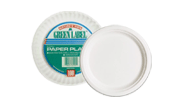 Earth-Friendly Disposable Dinnerware