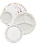 Disposable Dinnerware