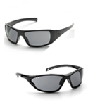 Polarized Safety Glasses