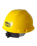 Dewalt Hard Hats