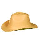 Cowboy Hard Hats