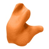 CEP002-O