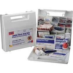 Bulk First Aid Kit, ANSI - 50 Person Plastic With Dividers 225ANF