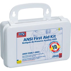Unitized First Aid Kit, ANSI - 10 Unit Plastic Case With Gasket 238ANF