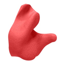 Radians Custom Molded Earplugs - Retail Box - Red Plugs - NRR 26 CEP002-R
