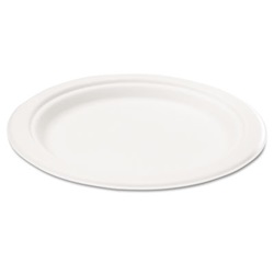 Bagasse 7 US-SVAP002