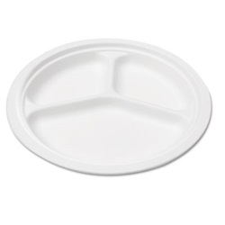 Bagasse 10 US-SVAP007