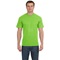 5190-Lime