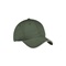 C838-Olive