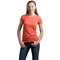 DT244-Persimmon-Orange