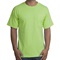 PC61P-Lime