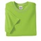 SM-2000-LIME