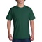 SMPC55-DarkGreen