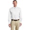 SP17-White