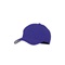 YC833-Purple