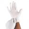 Item #: US-MIICUR8237