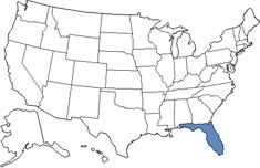 Sale Tax Florida
