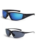 Polarized Glasses