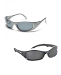 Polarized Glasses