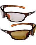 BD300 Glasses