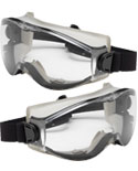  View Fortis II Goggles